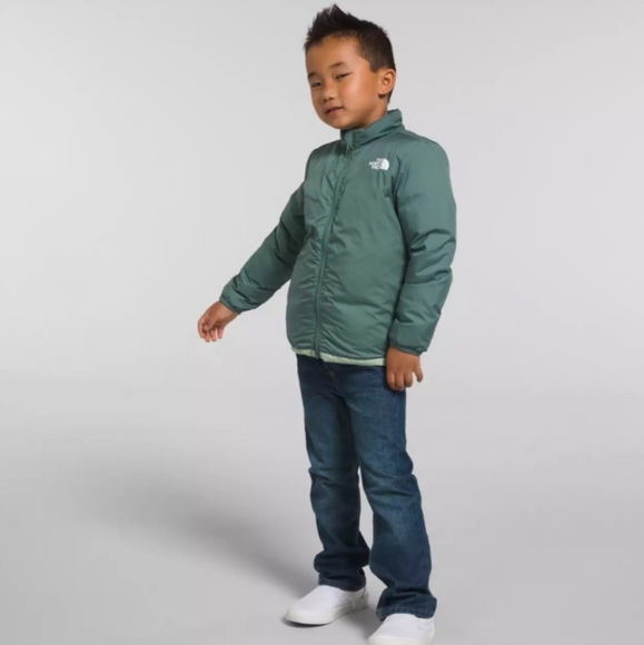 THE NORTH FACE NEW Kids North Down Puffer 3in1 TriClimate Jacket - Picture 13 of 16